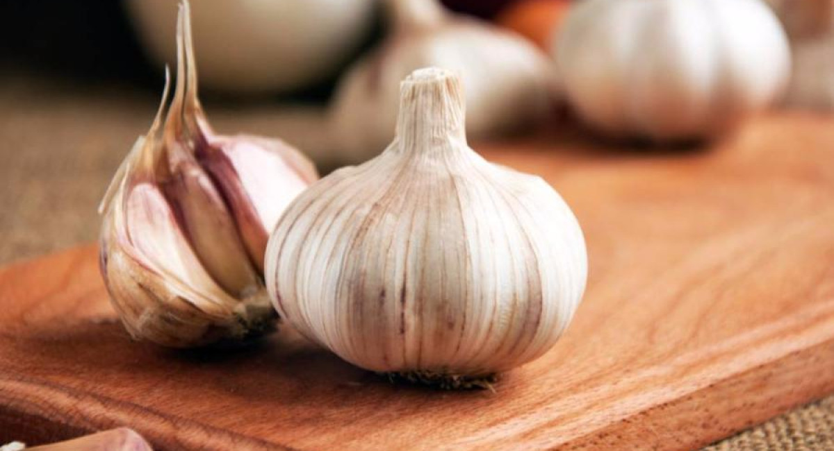 Продукты, которые защитят от укусов насекомых.